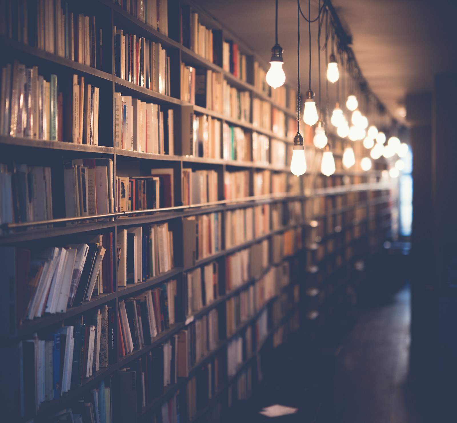 Books on library shelves